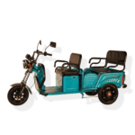Side View of Pushpak 6000 Three-Passenger Recreational Mobility Scooter 