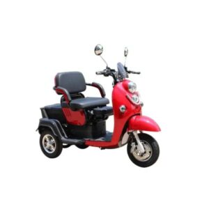 Pushpak 1000 Dual Passenger Mobility Scooter