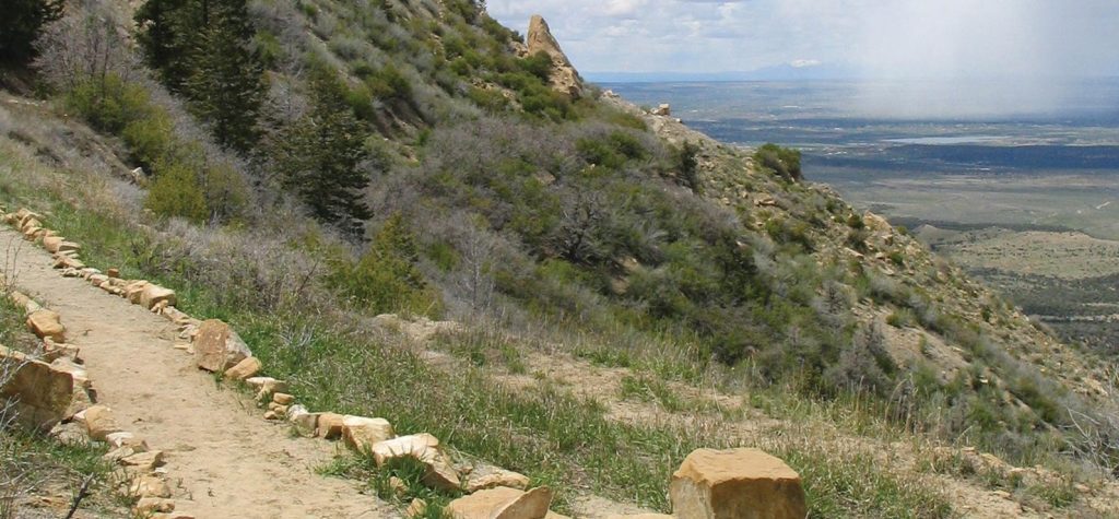 A steep outdoor nature trail