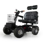 Cheetah Ninja ADA 2 Seater Mobility Scooter & Golf Cart